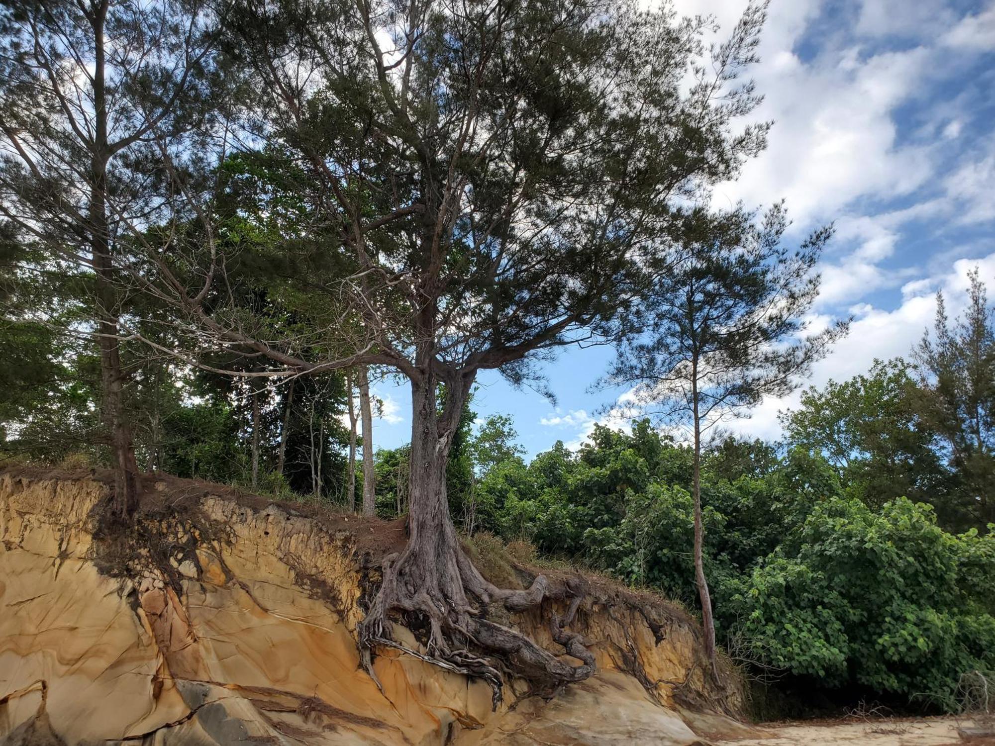 Eagle Bay Retreat Borneo Beach Villas Beach Front Kumbatang Luaran gambar